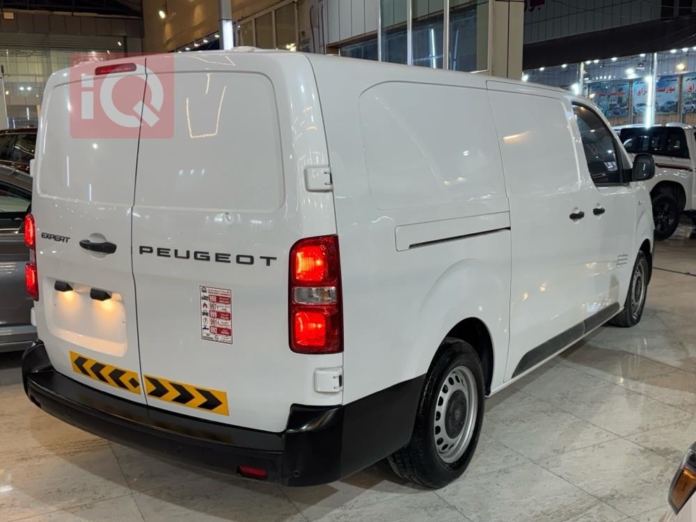 بيجو اكسبرت